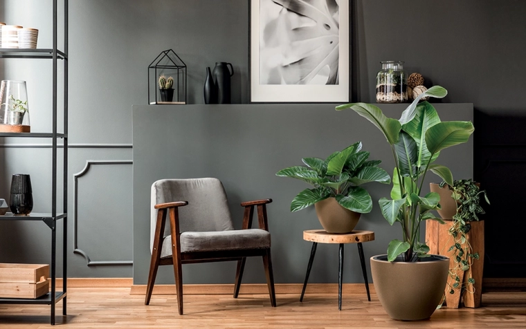 Naraven videz, ki se ujema z modernim interierjem