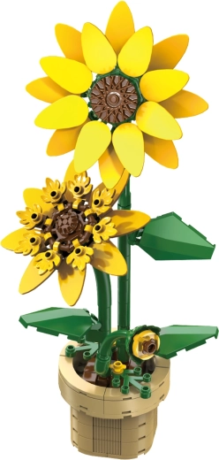 Kompakten okras višine 27 cm