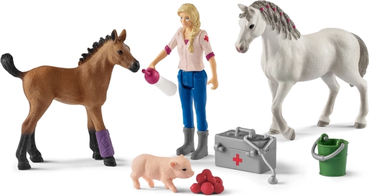 Obisk veterinarke pri kobili in žrebetu