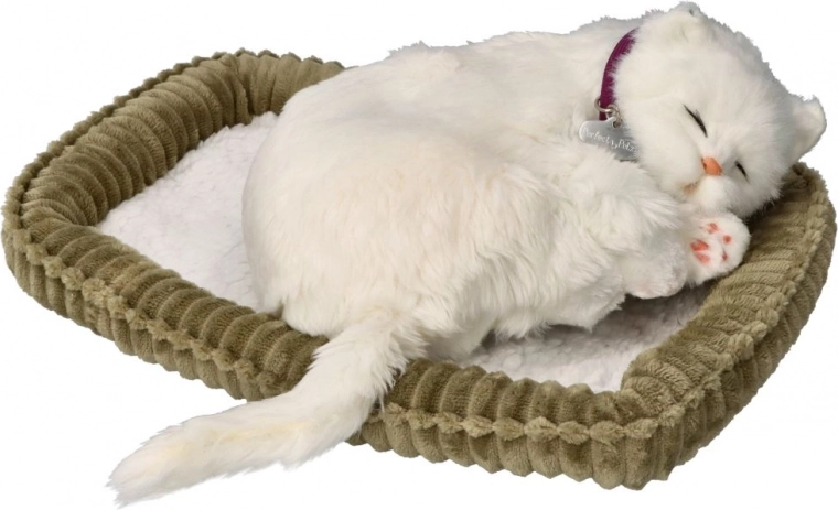 posvoji me kratkodlako belo mucko