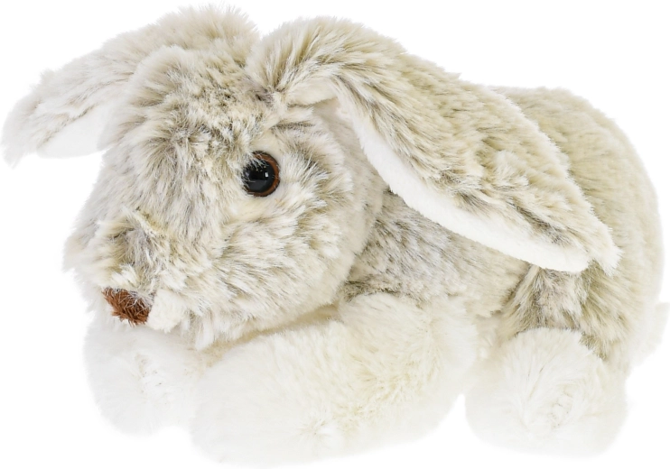 Prisrčni detajli in dolga ušeska