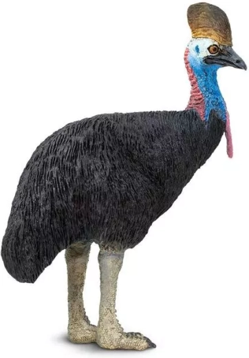 Figurica kazuarja (Casuarius) Safari Ltd.