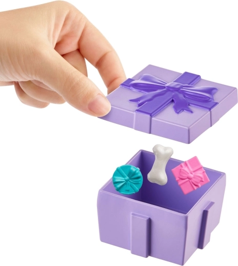 Darilna škatlica polna presenečenj