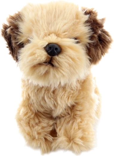 Varna igra že od rojstva