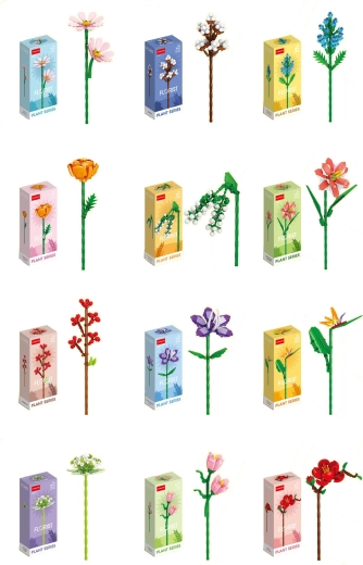 Florist pisani poletni in poljski cvetovi (12 vrst)