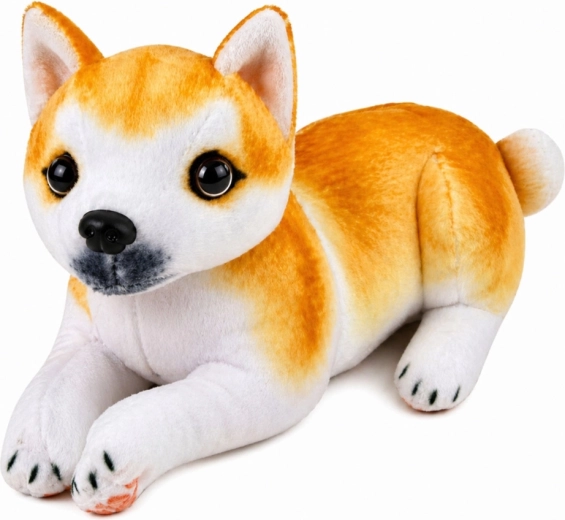 Realističen videz Shiba Inu