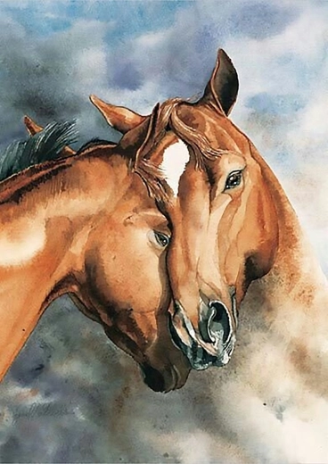 Norimpex slikanje po številkah Konji 40 × 50 cm