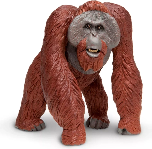 Bornean Orangutan Figure Safari Ltd.