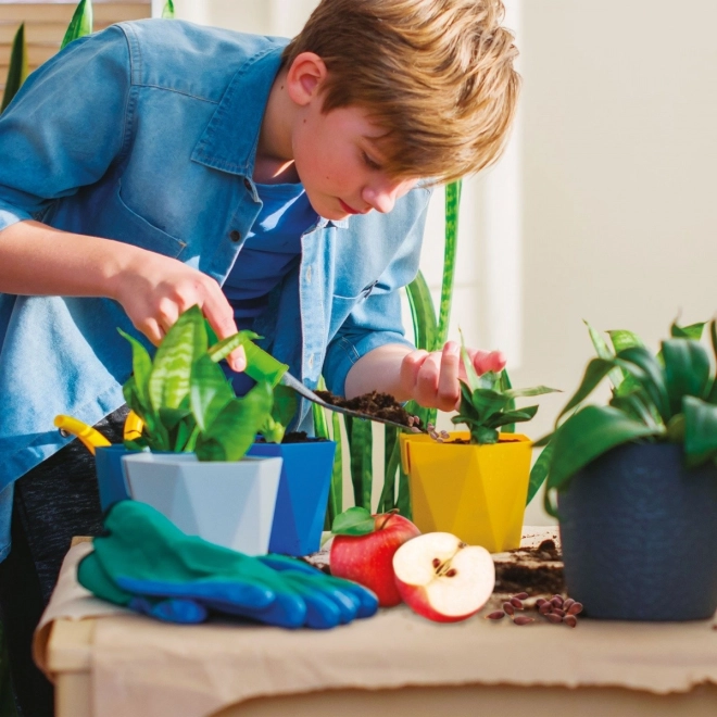 Zabavno gojenje doma