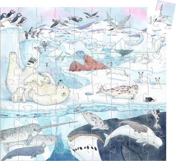 Čudovita ilustracija polarnega sveta