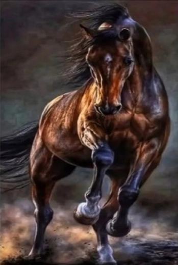 Norimpex diamond painting Wild Horse 30 × 40 cm