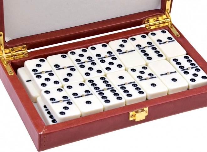 Elegant case for safe storage