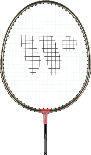 Praktičen etui s trakom za čez ramo