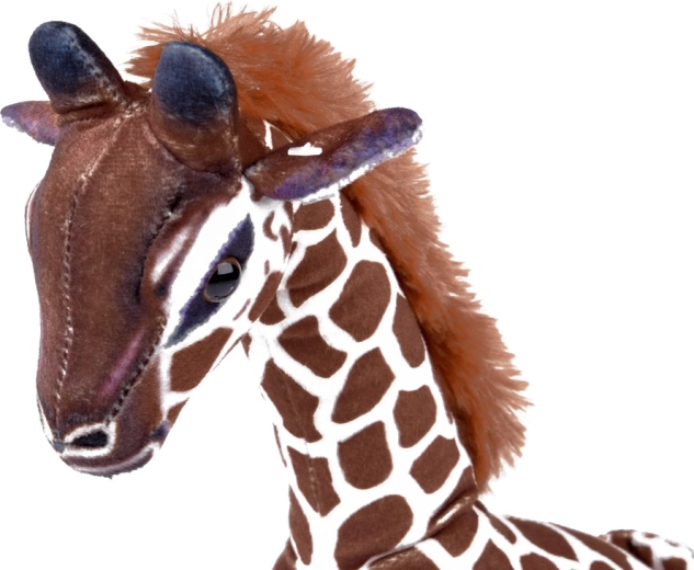 Varni detajli in kakovostna izdelava