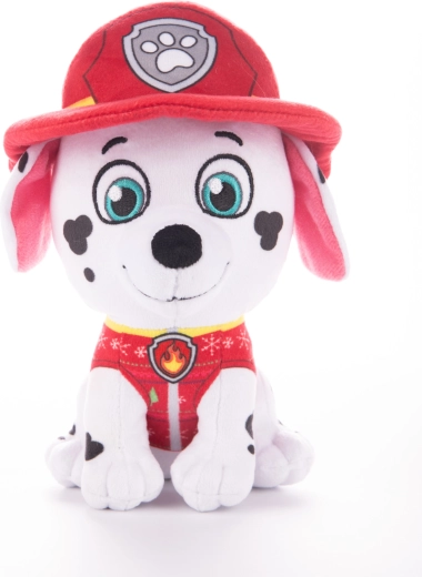 Avtentični gasilski detajli