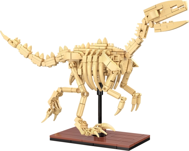 Svetleče kosti in razstavna izdelava