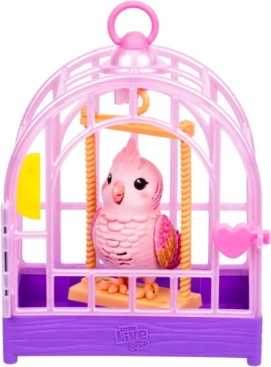 Cage with handle for easy carrying