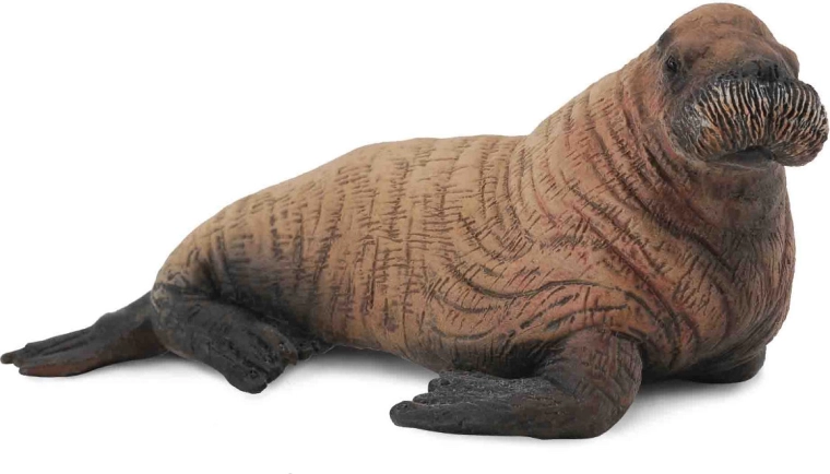 Plastic Figurine Walrus Calf Collecta