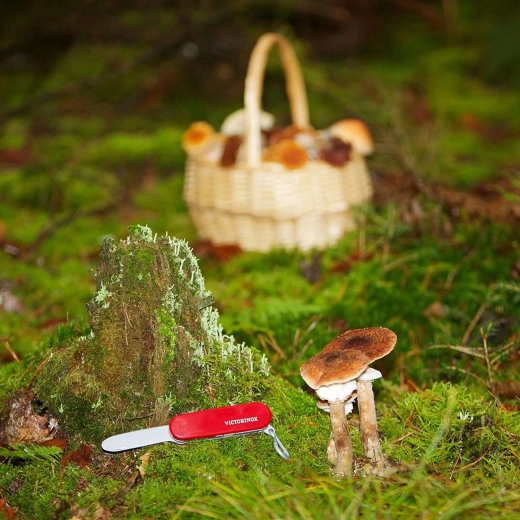 Licencirana zasnova VICTORINOX