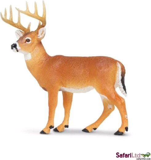 Belorepi jelen Safari Ltd.