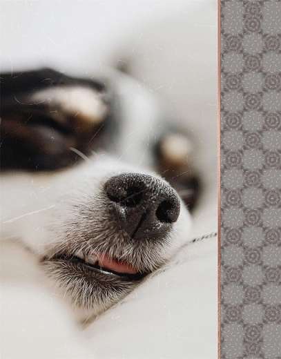 Fotoalbum CONCORDE za 64 fotografij 10 × 15 cm