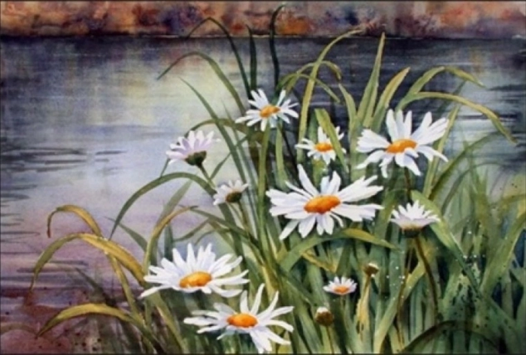 Norimpex slikanje po številkah Rože 40 × 50 cm