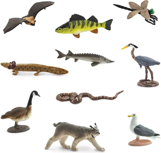 10 miniatur živali z območja Velikih jezer