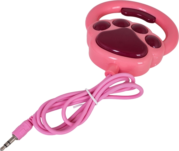 Recording and repeat function + leash control
