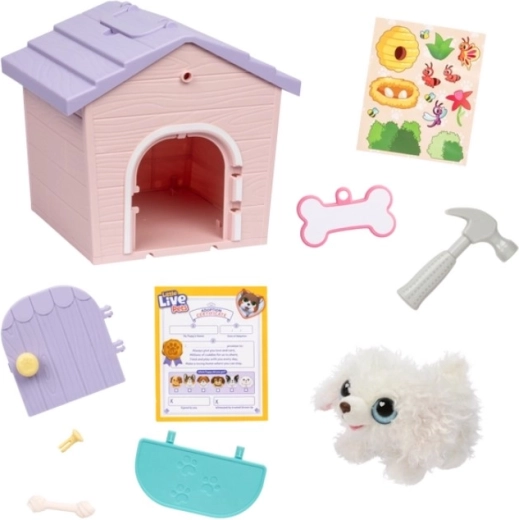 Build and decorate the house your way