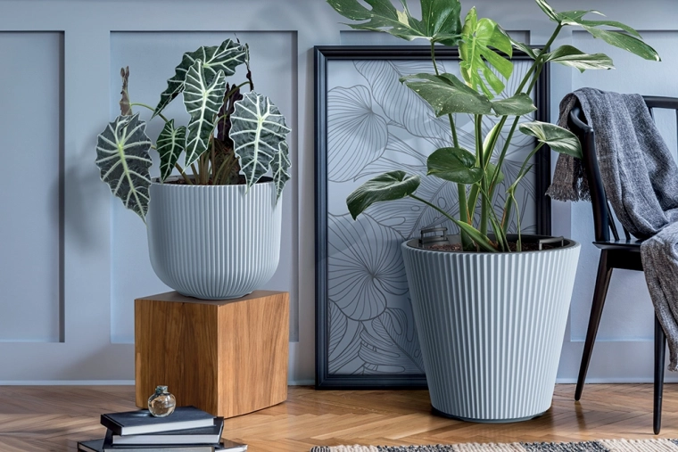 Sodoben rebrast dizajn