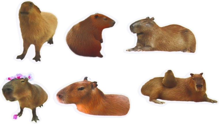 Večji format 6–7 cm za učinkovito okrasitev