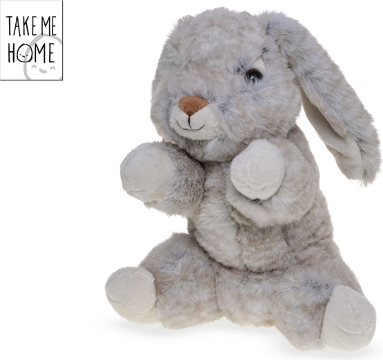 Sitting plush bunny Take Me Home 20 cm