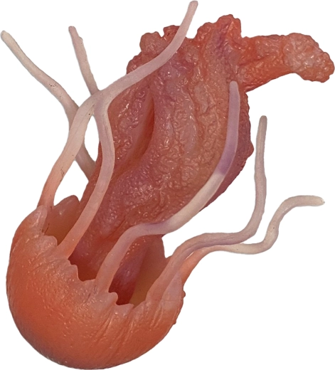 Gumijasta meduza 10 cm – igrača za kad in bazen
