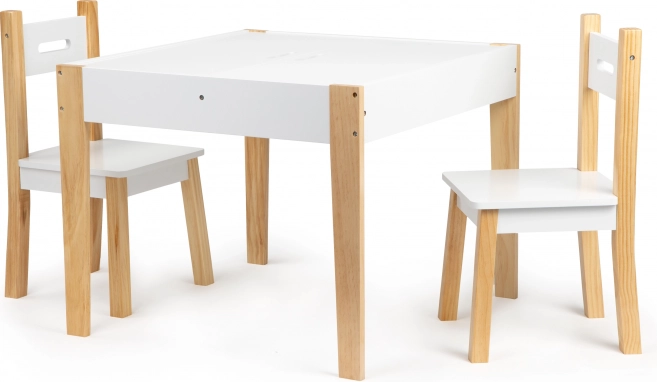 Otroški komplet miza in dva stola ECOTOYS