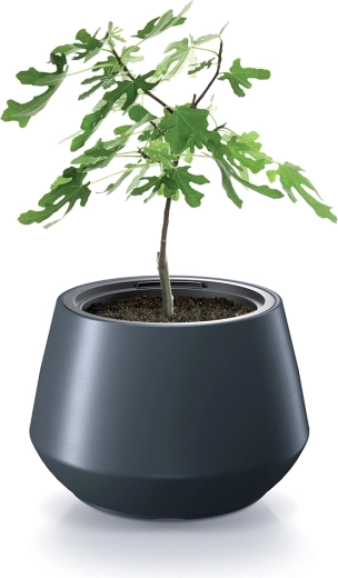 Univerzalno za rastline in zelišča