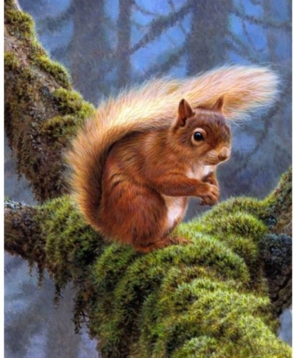 Diamantno vezenje (diamond painting) veverica 30 × 40 cm - 1 kos