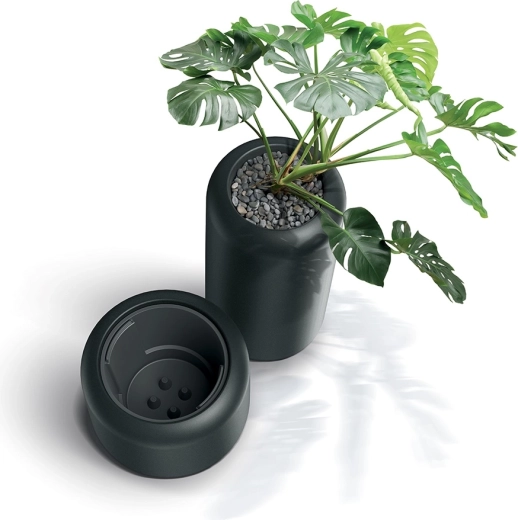 Double wall: insulation and drainage for healthier roots