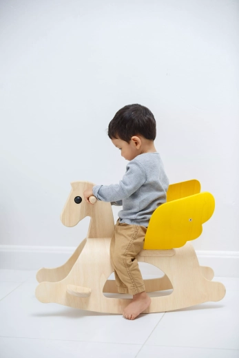Adjustable backrest and footrests