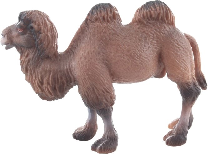 Kompaktne mere za enostavno uporabo