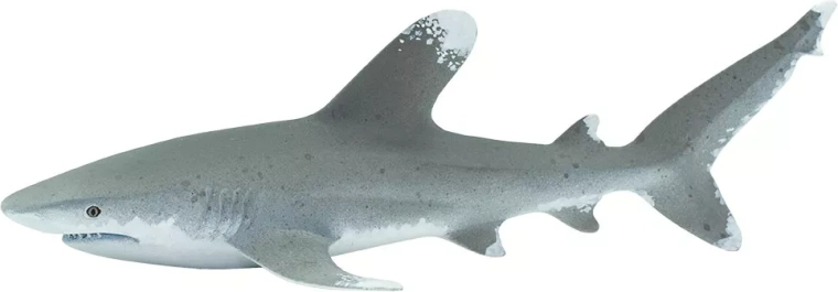 Safari Ltd. Oceanic Whitetip Shark Figure - 1 piece