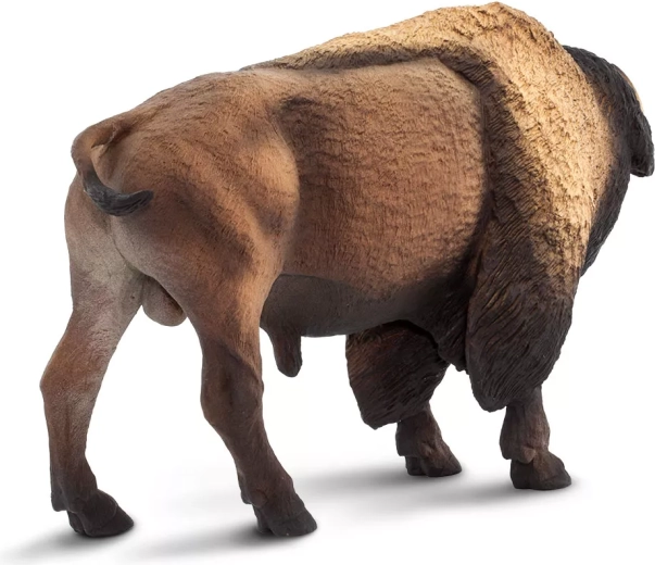Educational toy for learning about nature