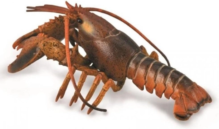 Collecta jastog – realistična izobraževalna figurica