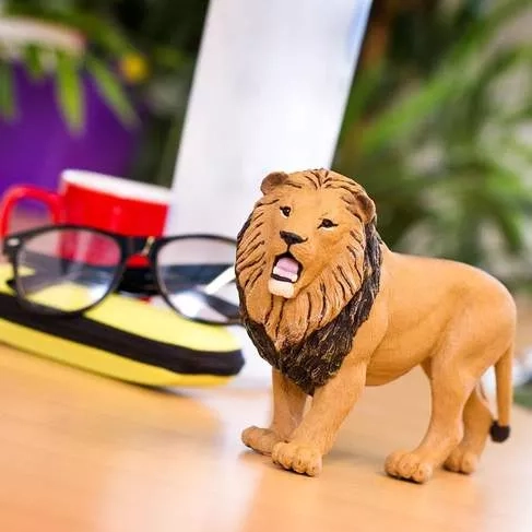 Ideal for learning through play