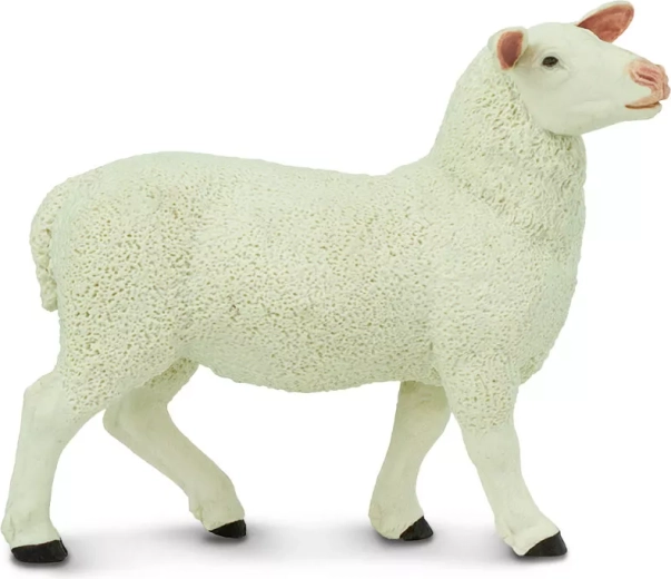 Safari Ltd. figurica ovčke - 1 kos