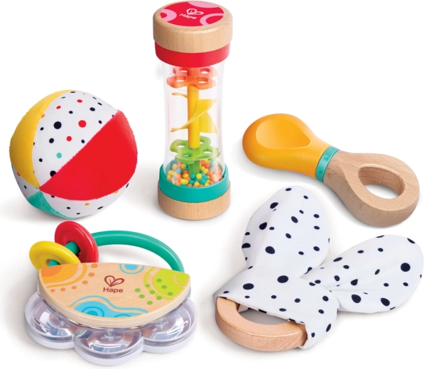 Hape 5-in-1 Sensory Toy Set for Babies