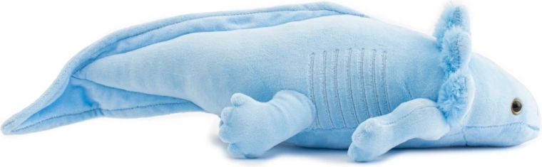 Realistični detajli aksolotla