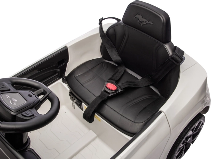 Varen sedež z varnostnim pasom