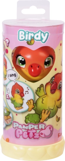 Darilna embalaža pripravljena za podarjanje