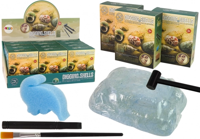 Arheološki set – izkopavanje školjk, 3 presenečenji modeli