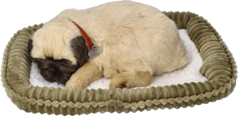 Perfect Petzzz dihajoče mopsje mladičko